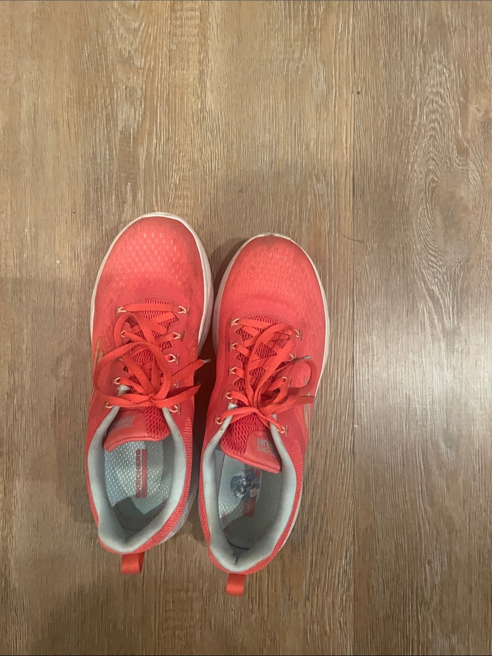 Coral Skechers